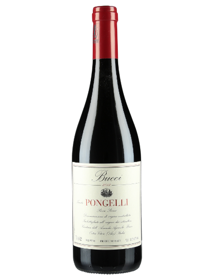 Rosso Piceno Tenuta Pongelli