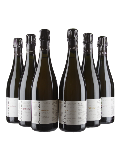 Champagne Coffret Parcellaires 6 Btl. (Chemins de Chalon, Sous le Mont, Bout du Clos, Cote Farron, Carelles, Chantereines)