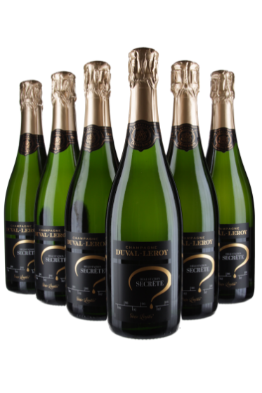 Secret Tasting 6bts(1xBdB 1996,1xExtra Brut Prestige1998,1xBrut Nature BdB2002,1xExtra Brut Clos des Bouveries2006,1xExtra Brut Cumières2007,1xMOF2008