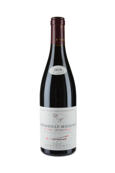 Chambolle Musigny Les Sentiers