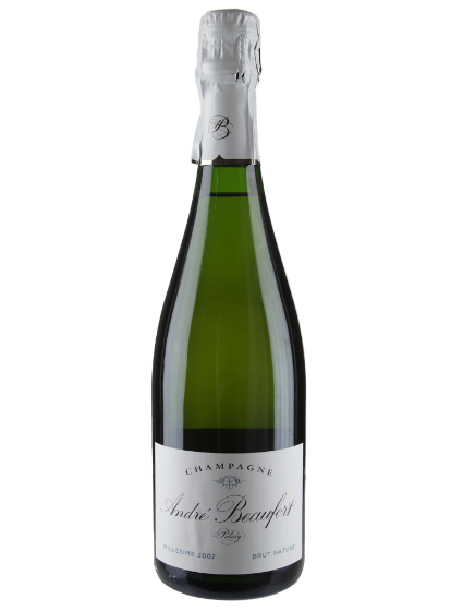 Champagne Brut Polisy