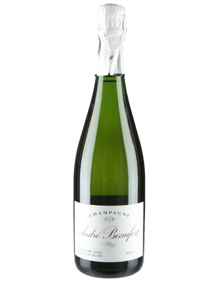 Champagne Brut Polisy