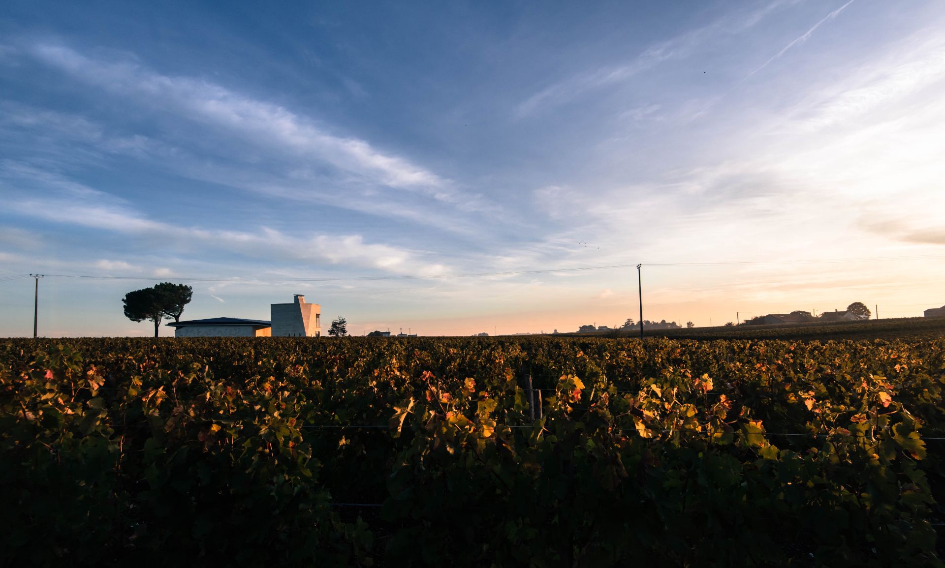 Picture of Exclusive Vertical Tasting: Château Le Pin 