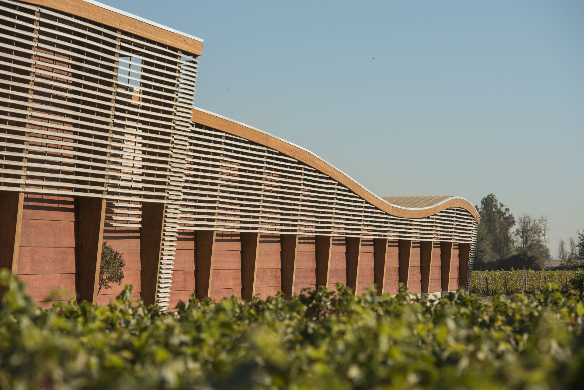 Bild von Wine&Dine: Almaviva