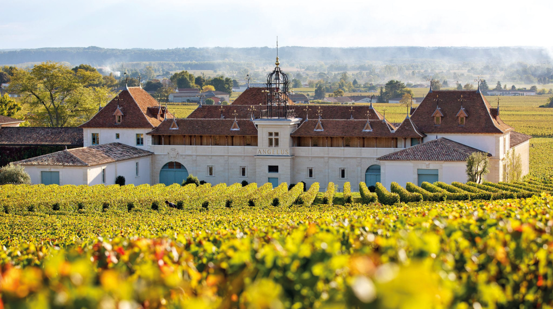 ARVI Events - Masterclass Château Angelus - Arvino Zurich - 04.12.2024 h16:30-18:00