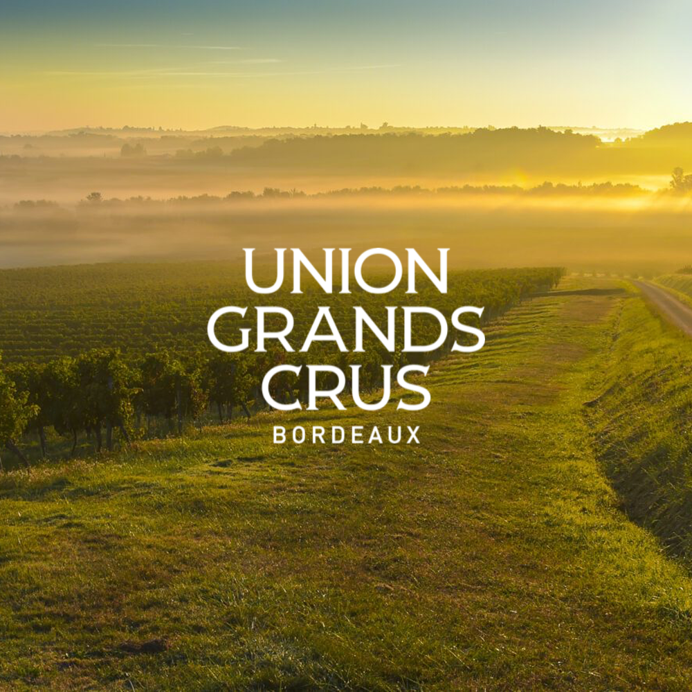 Immagine di UGCB 2023 Vintage Tasting