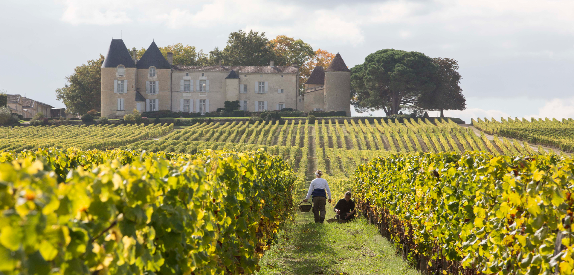 Immagine di Open tasting Château d'Yquem - Arvino Zurigo