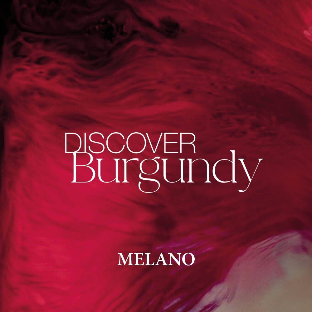 Bild von DISCOVER BURGUNDY - MELANO