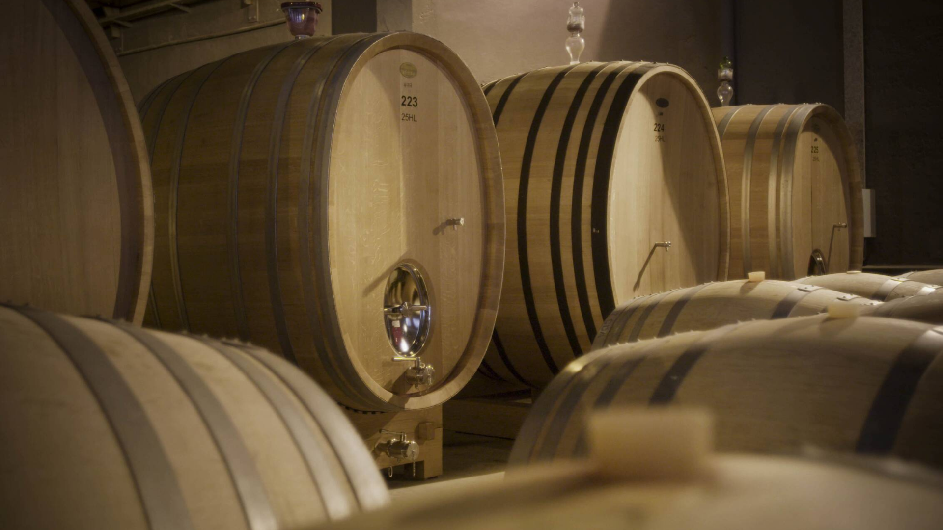 Bild von Open Tasting: Cheval des Andes - Arvino Zürich