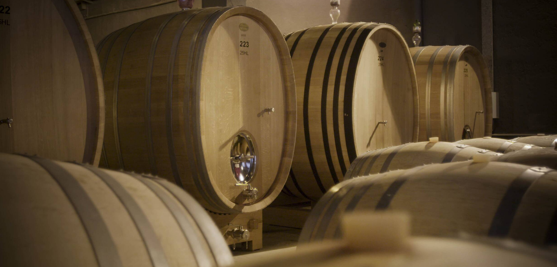 Bild von September releases tasting - Arvino Lugano