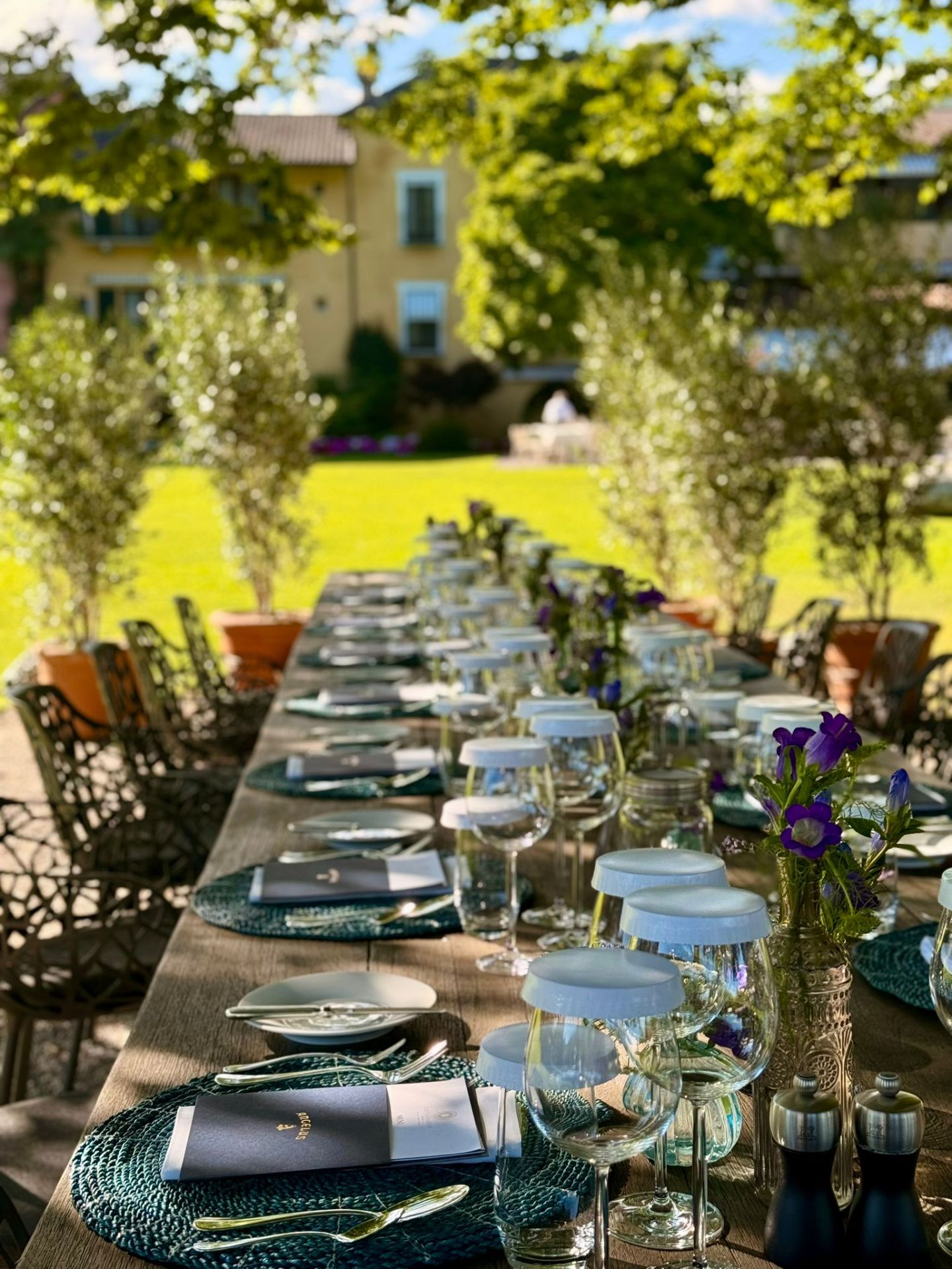 Picture of Wine & Dine Chateau Angelus - Castello del Sole, Ascona