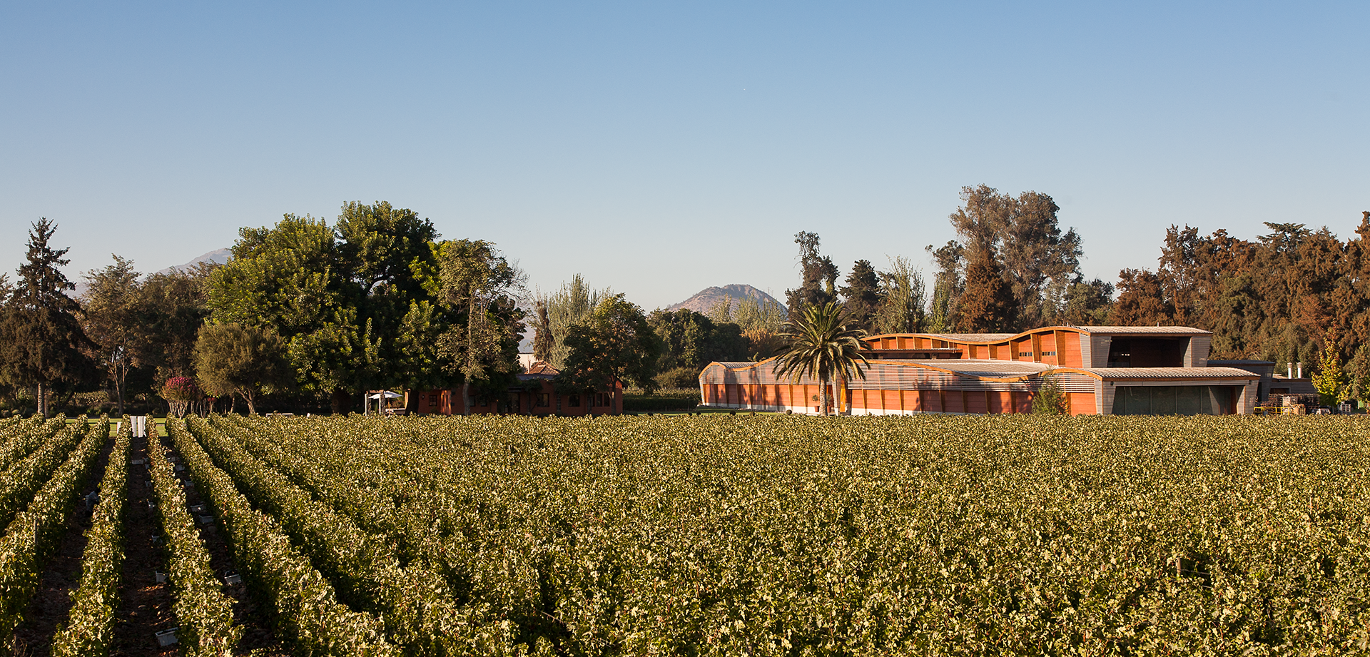 Picture of Wine & Dine Almaviva - Dorfhus Gupf AG