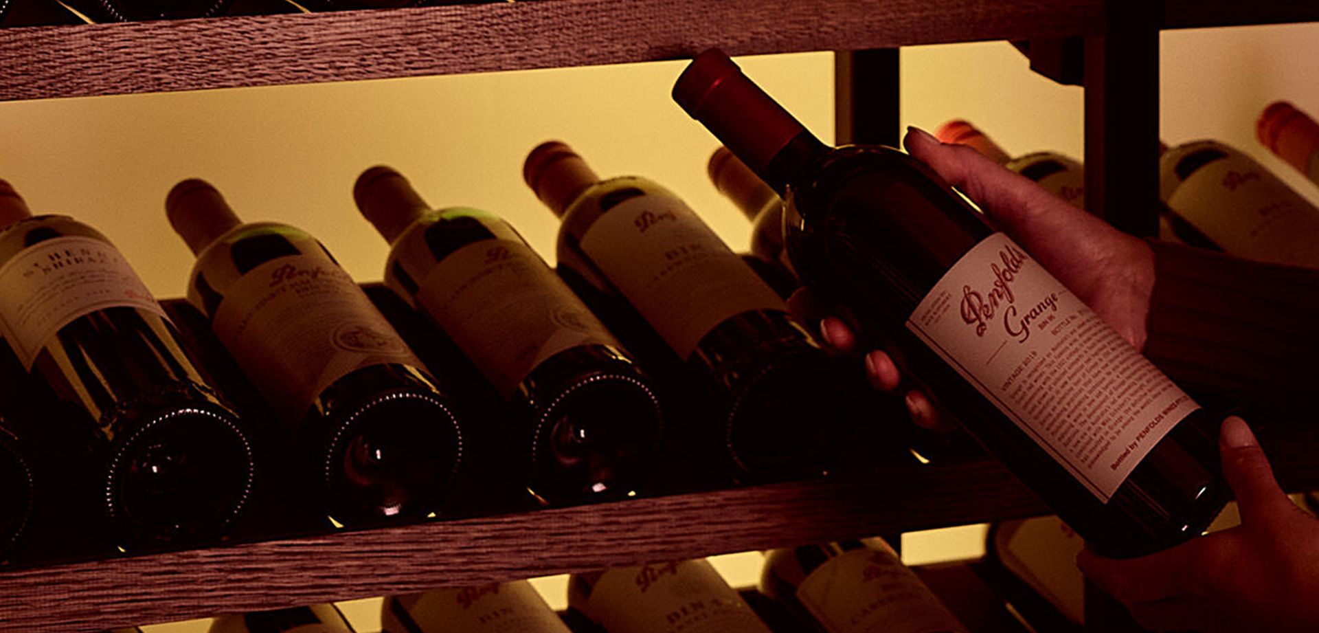 Bild von Wine & Dine Penfolds - Osteria Cuntitt