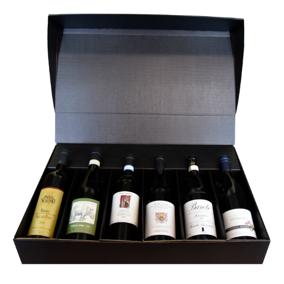 Grand Tour in Piedmont