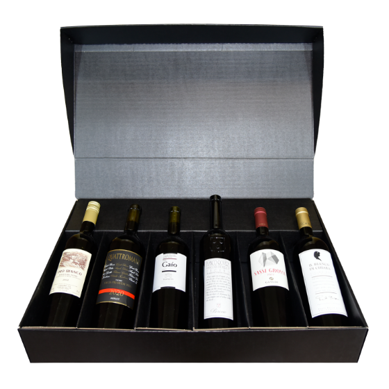 Grand Tour in Ticino