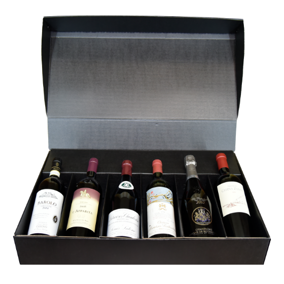 Premium Tour around the World