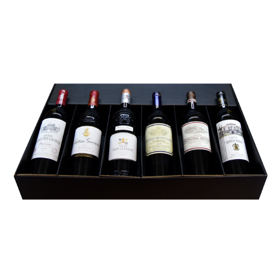 Picture of Grand Tour in Bordeaux