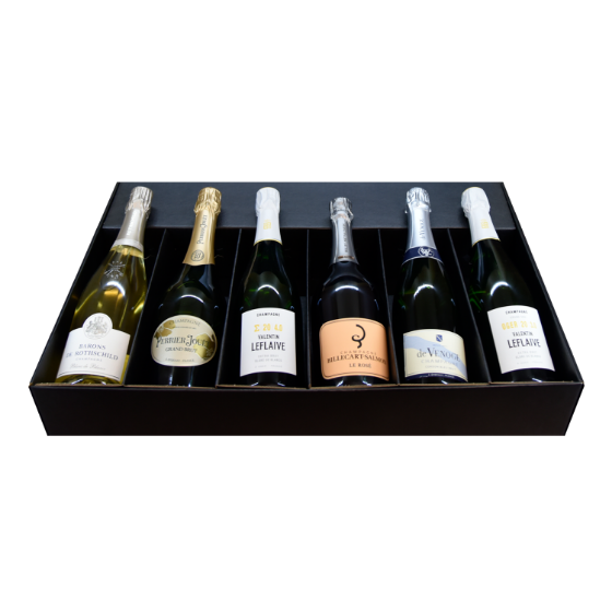 Picture of Grand Tour in Champagne