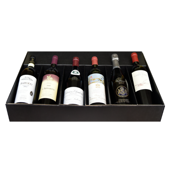 Picture of Premium Tour around the World