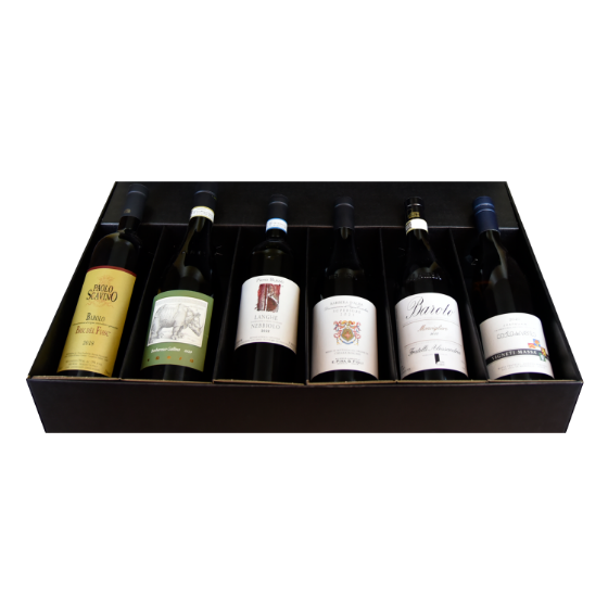 Picture of Grand Tour in Piedmont