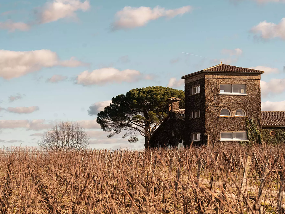 Image de Open Tasting | Rieussec