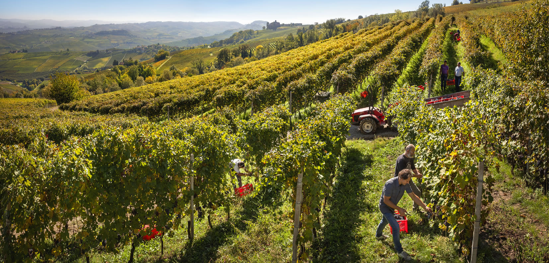 Bild von Open Tasting: Enzo Boglietti - Arvino Zurich