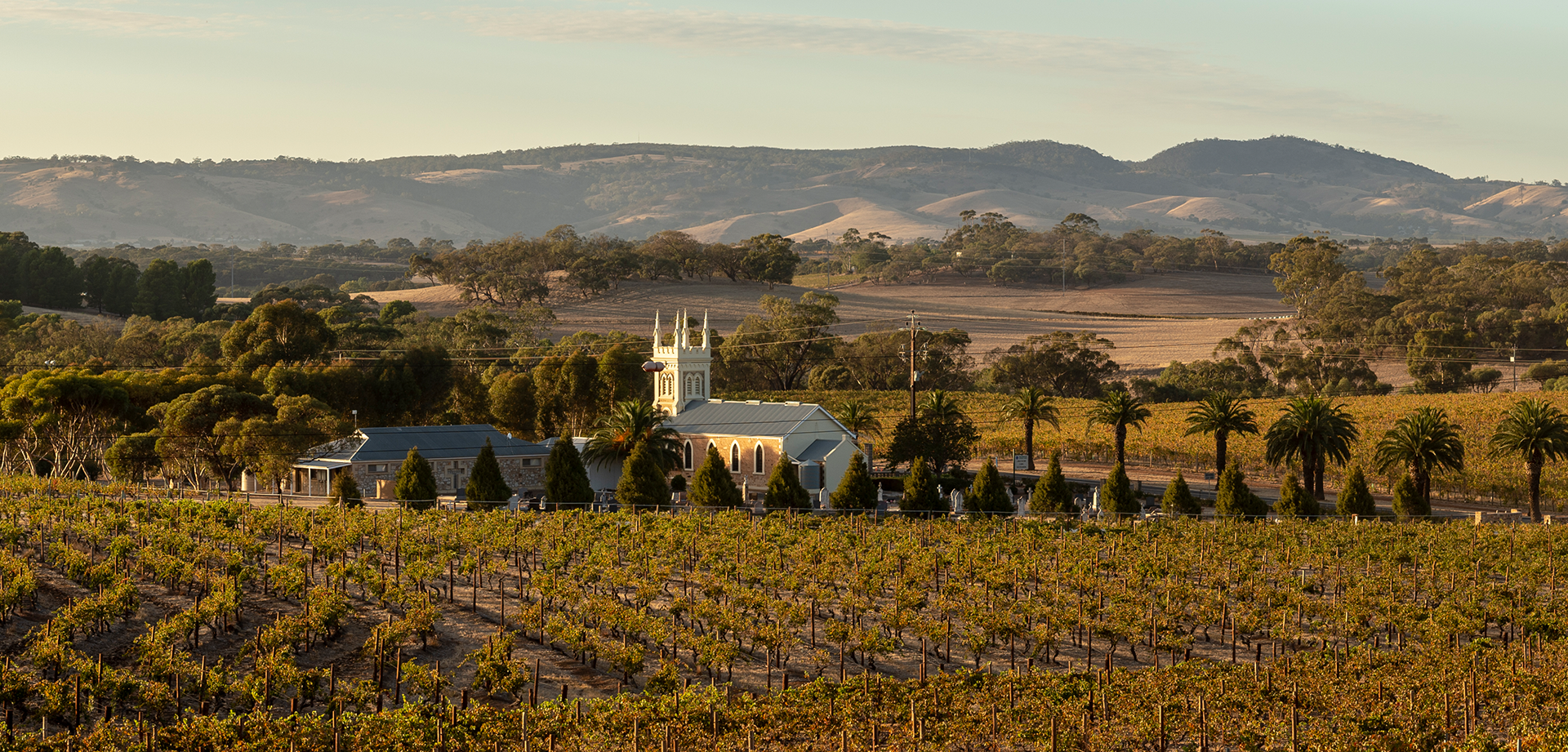 Picture of Open Tasting: Torbreck - Arvino Zurich