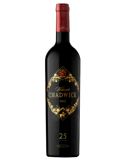 Viñedo Chadwick - 25th Anniversary Release