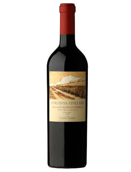 Adrianna Vineyard Mundus Bacillus Terrae