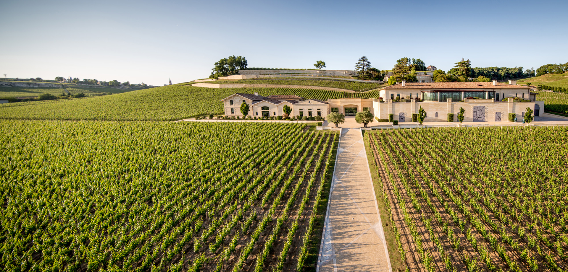 Bild von Wine & Dine Château Pavie - Arvino Zurigo