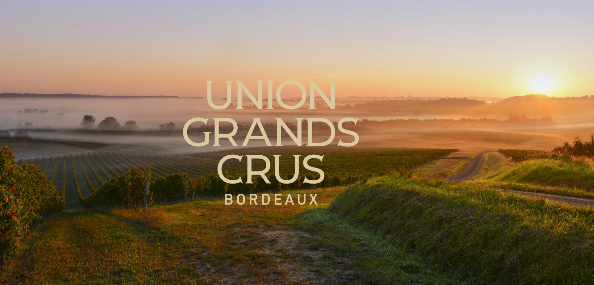 Immagine di UGCB 2024 Vintage Tasting - Dolder Grand Hotel Zurich