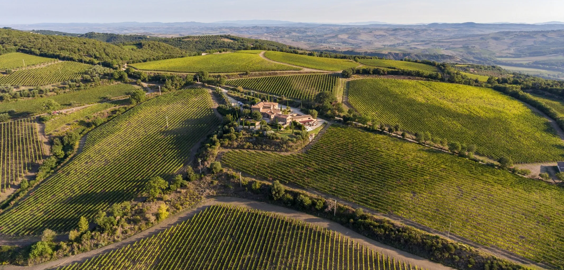 Bild von Wine & Dine: Allegrini & Palmer